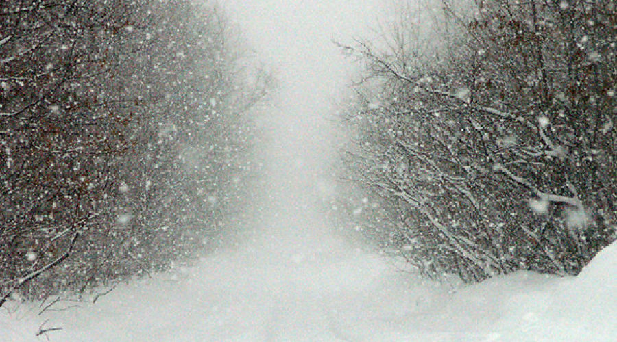 ВНИМАНИЕ: в Петрозаводске ожидается сильный снег
